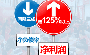 凈資產(chǎn)負(fù)債率計算公式